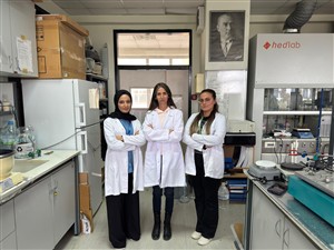 Prof. Dr. Melek Pamuk Algı’ nın Kanser Tedavisine Yönelik Doğal Kaynaklı Nanomalzeme Projesine TÜBİTAK Desteği